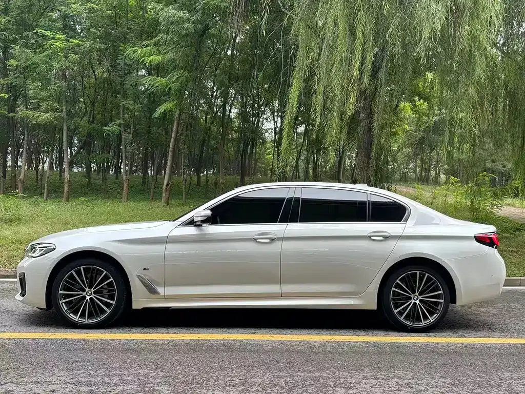 BMW 5 Series 2022 из CN, фото 4