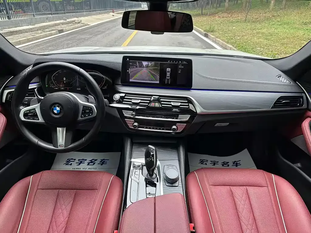 BMW 5 Series 2022 из CN, фото 6