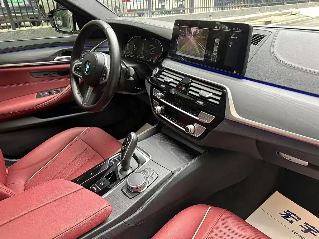 BMW 5 Series 2022 из CN, фото 7