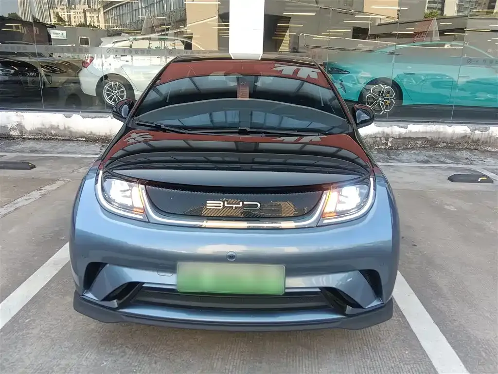 BYD Dolphin 2024 из CN, фото 3