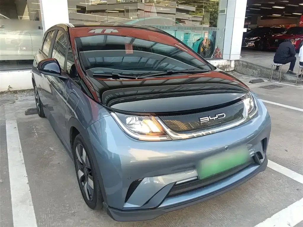 BYD Dolphin 2024 из CN, фото 4