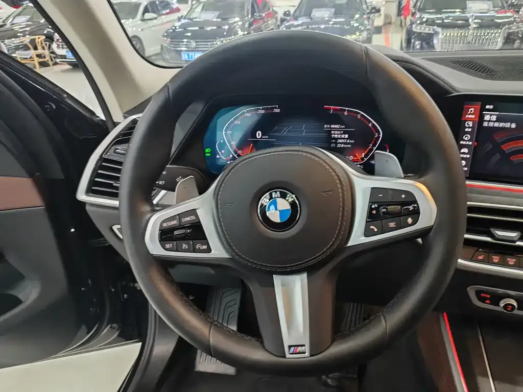 [object Object] X5 (Import) 2021 из CN, фото 4