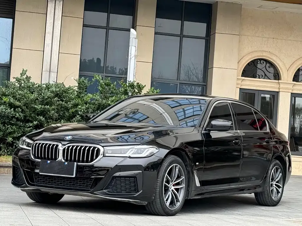 BMW 5 Series 2021 из CN, фото 1