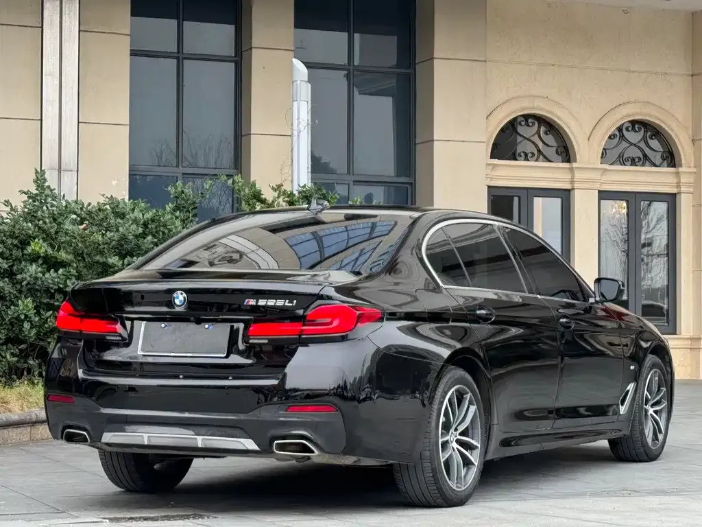 BMW 5 Series 2021 из CN, фото 10