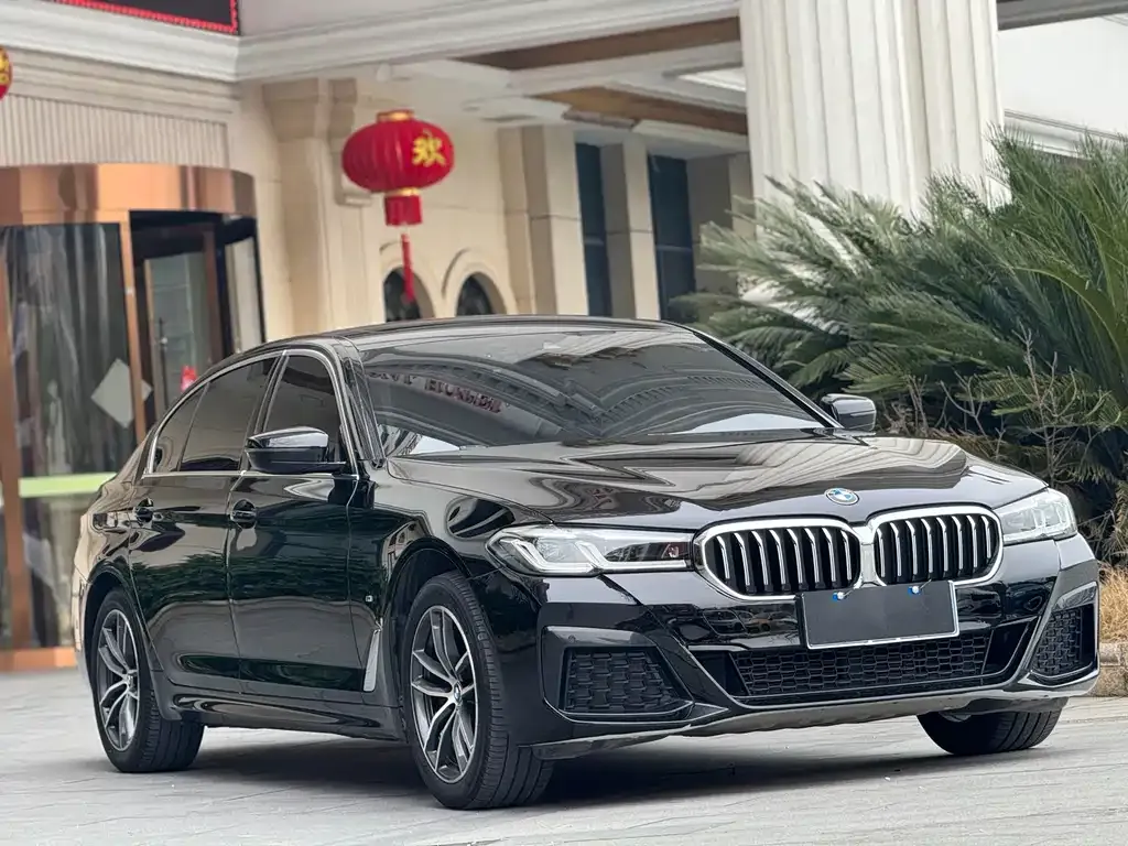 BMW 5 Series 2021 из CN, фото 2