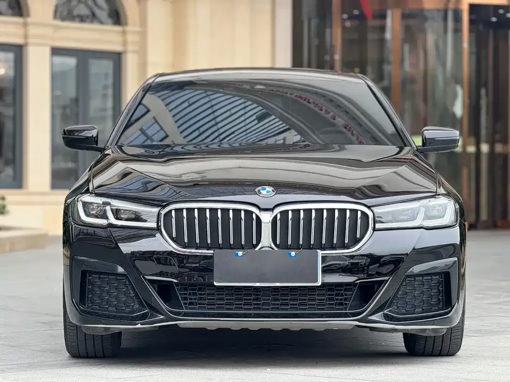 BMW 5 Series 2021 из CN, фото 3