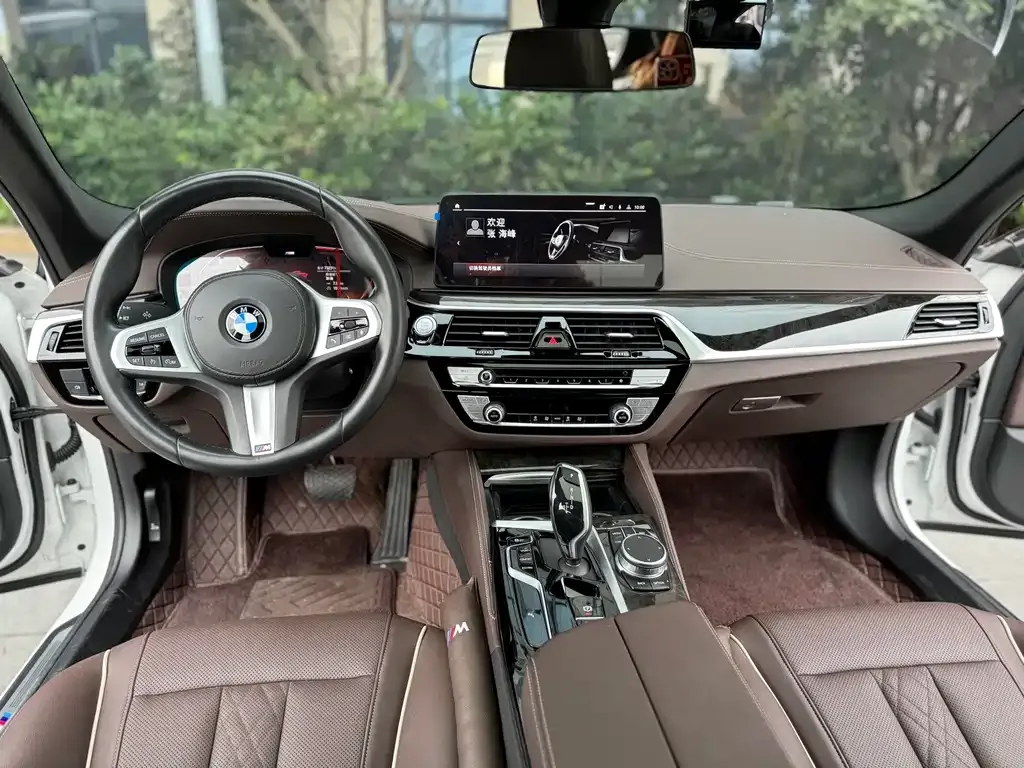 BMW 5 Series 2021 из CN, фото 4