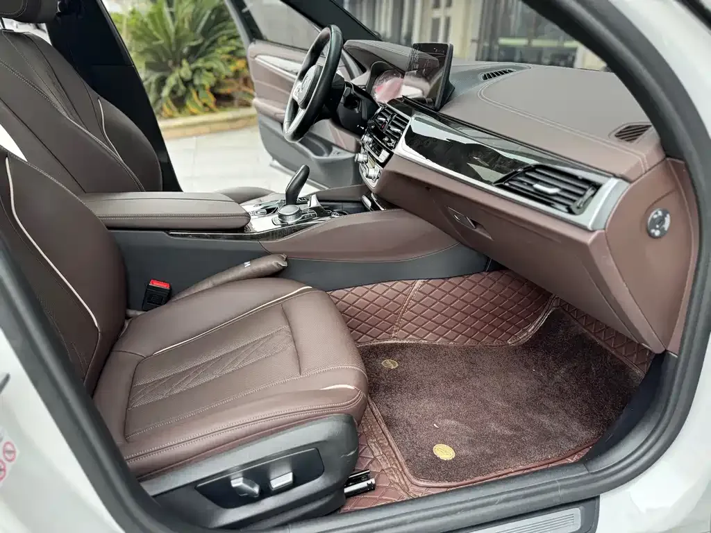 BMW 5 Series 2021 из CN, фото 5