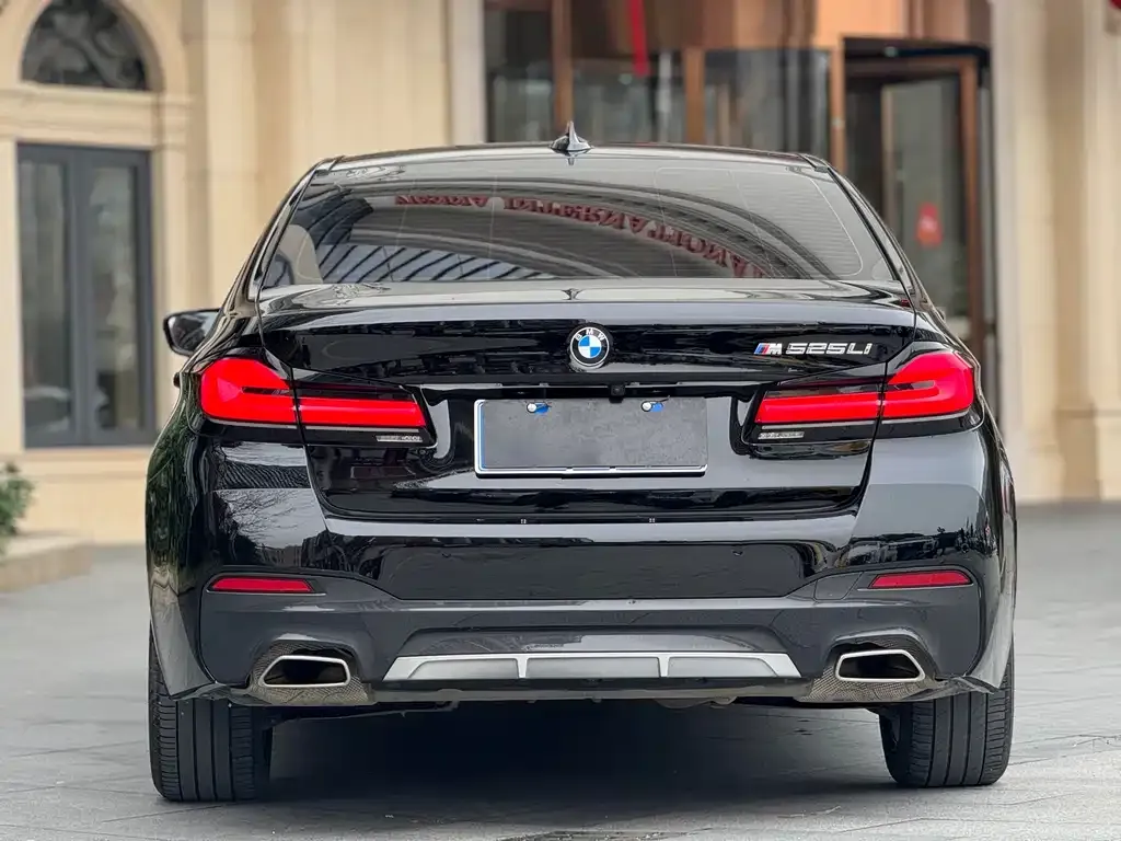BMW 5 Series 2021 из CN, фото 9