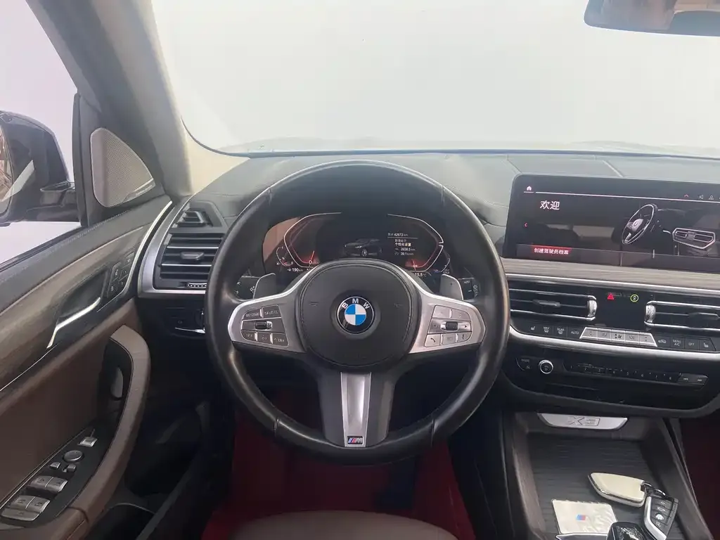 BMW X3 2023 из CN, фото 9