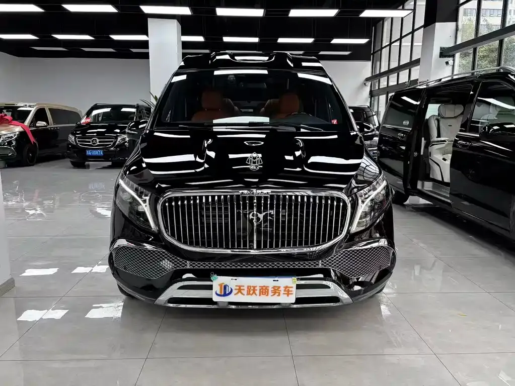 Mercedes-Benz V-Class 2024 из CN, фото 2