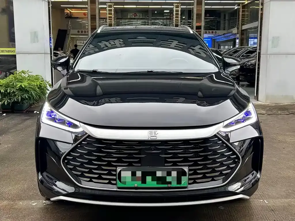 BYD Tang New Energy 2024 из CN, фото 2