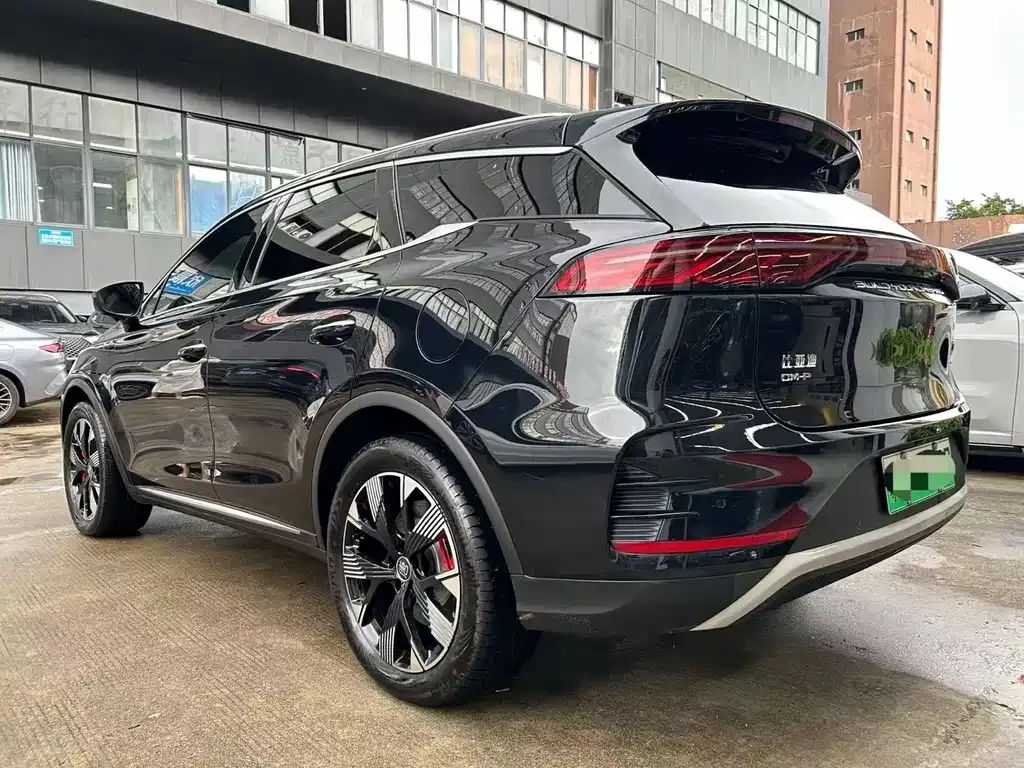 BYD Tang New Energy 2024 из CN, фото 7