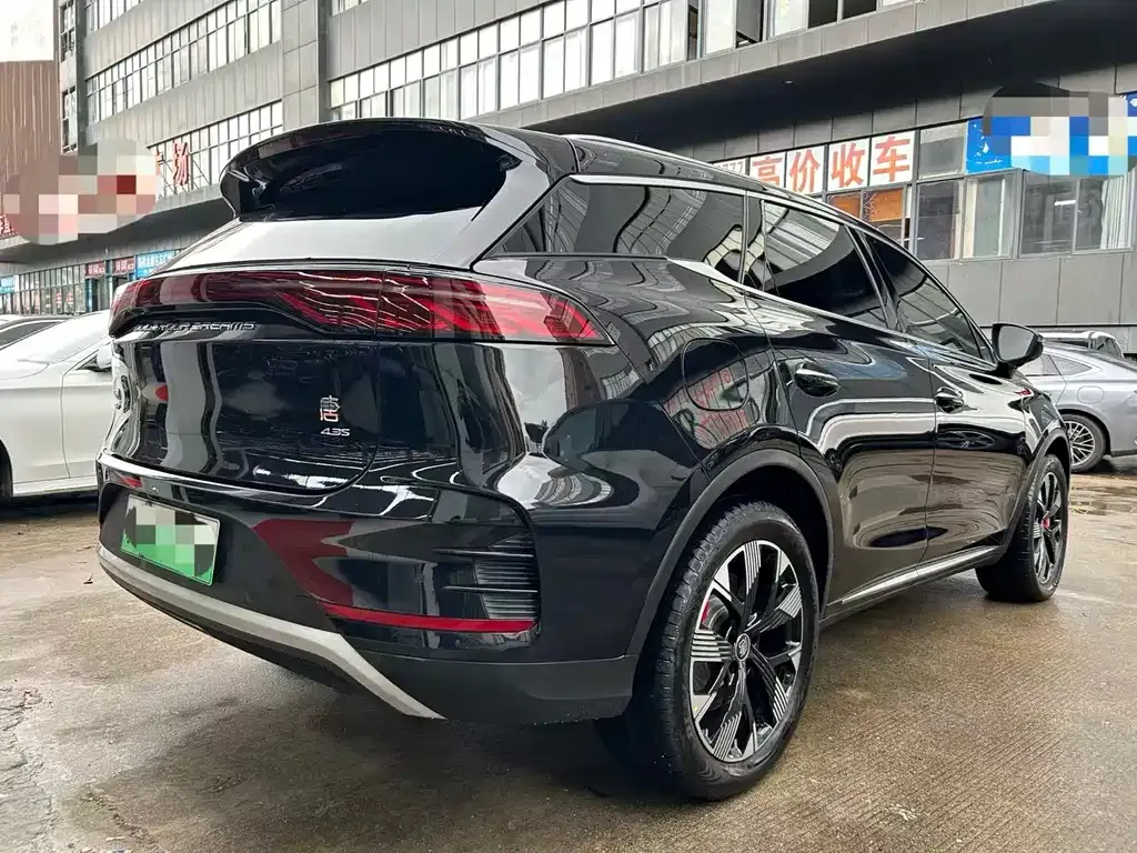 BYD Tang New Energy 2024 из CN, фото 9