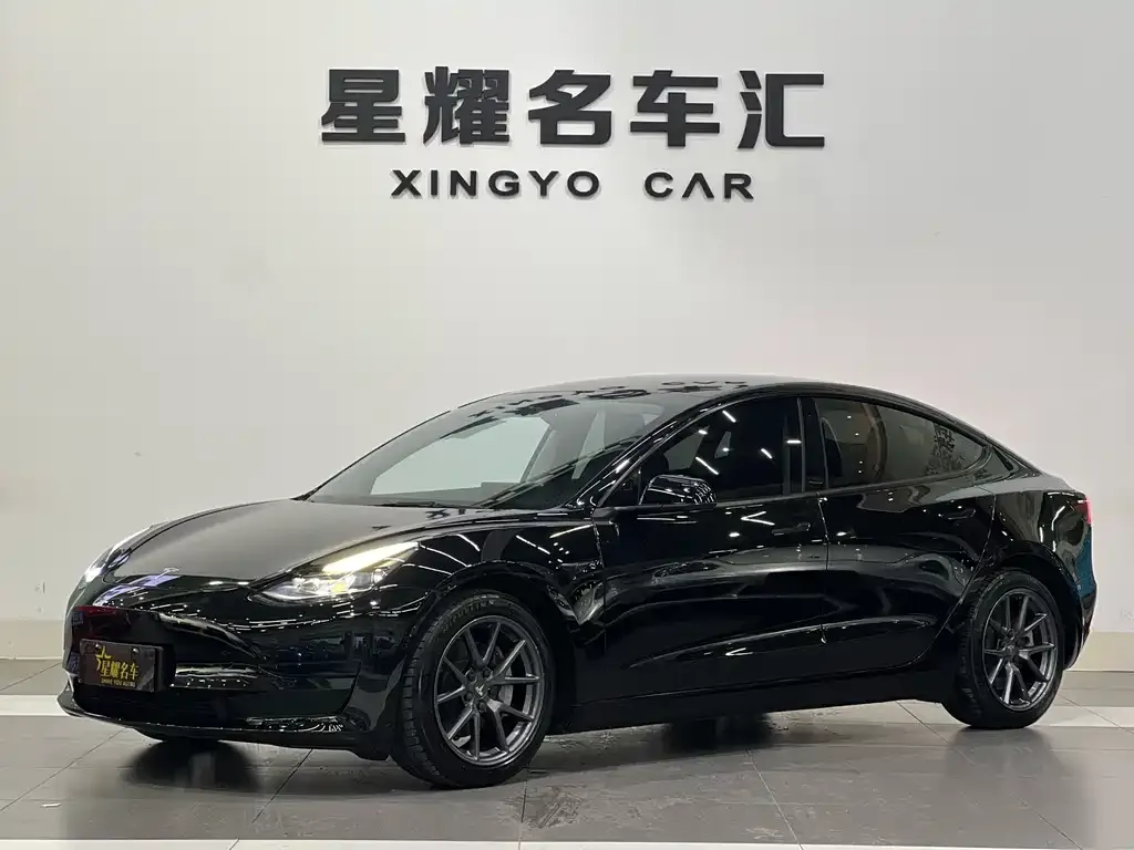 Tesla Model 3 2021 из CN, фото 1