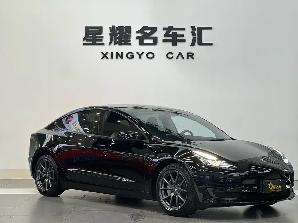 Tesla Model 3 2021 из CN, фото 2
