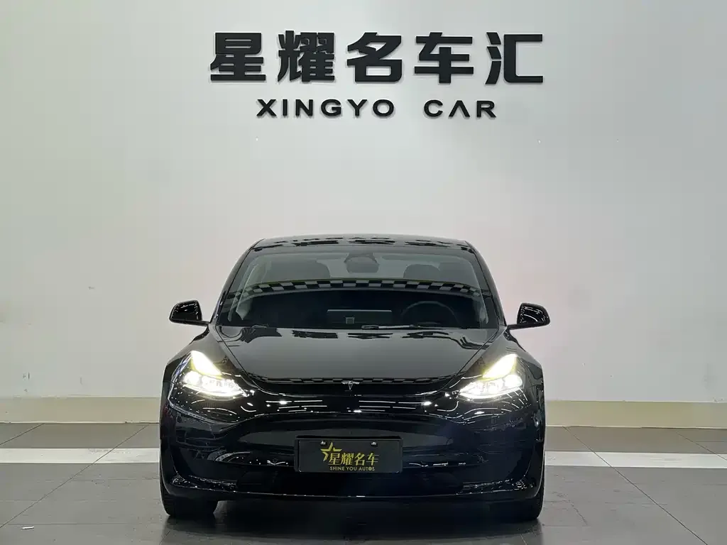 Tesla Model 3 2021 из CN, фото 3