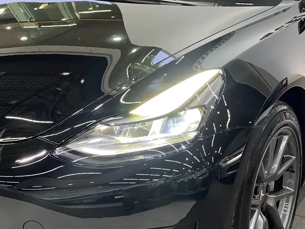 Tesla Model 3 2021 из CN, фото 5