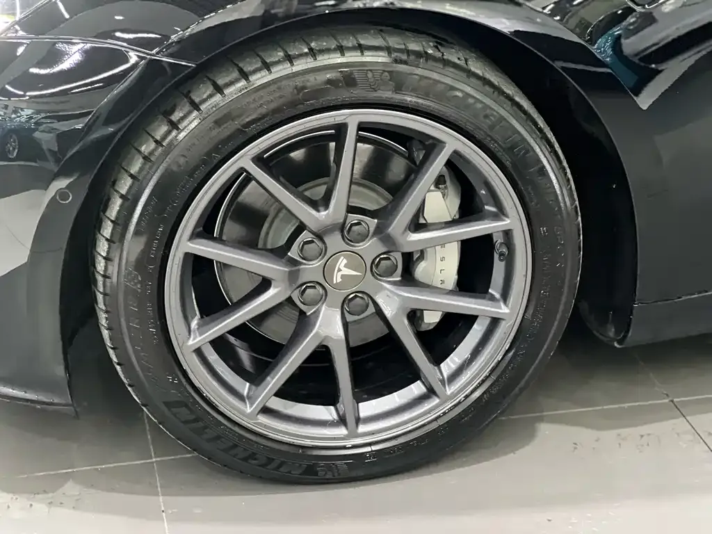 Tesla Model 3 2021 из CN, фото 6