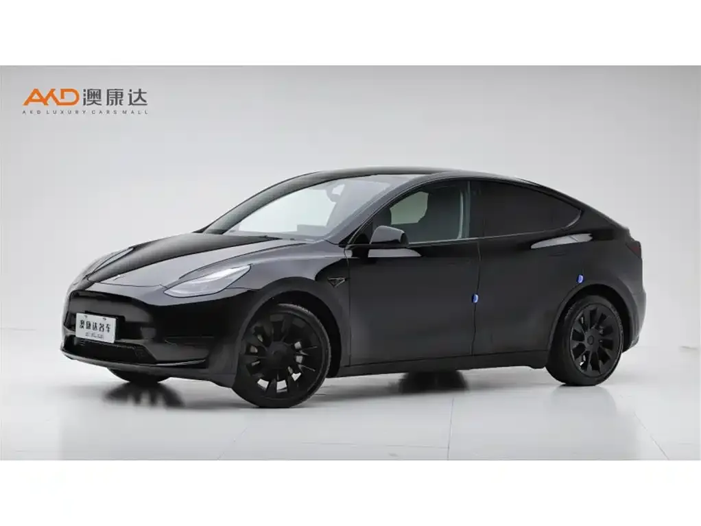 Tesla Model Y 2022 из CN, фото 1