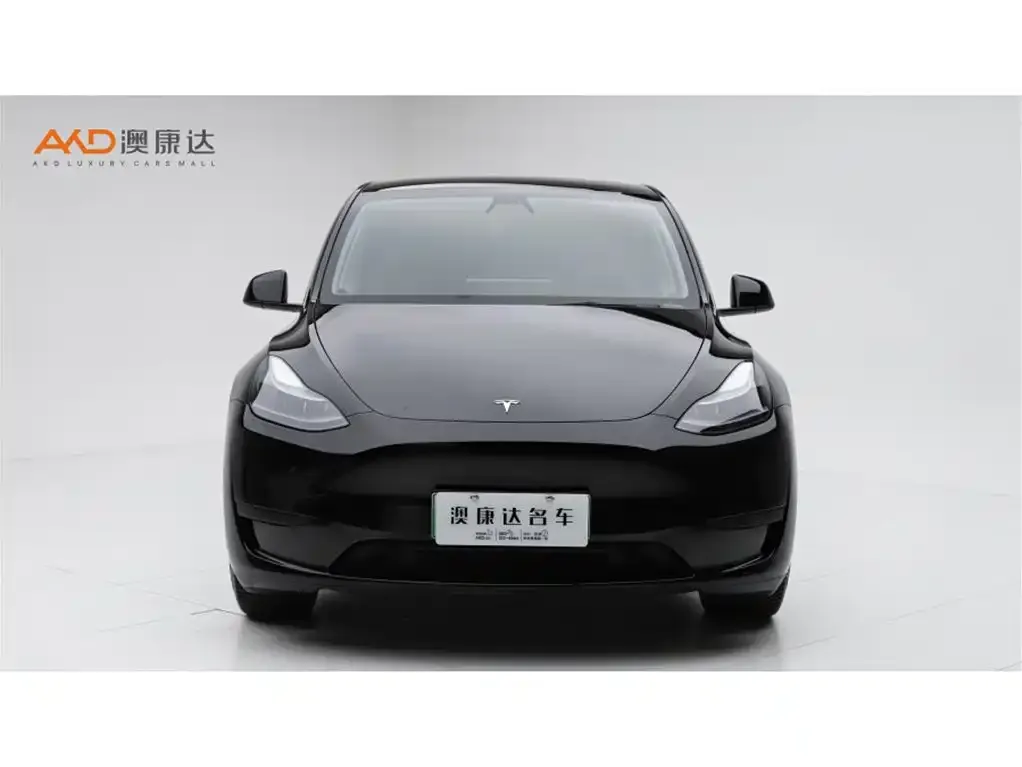 Tesla Model Y 2022 из CN, фото 2