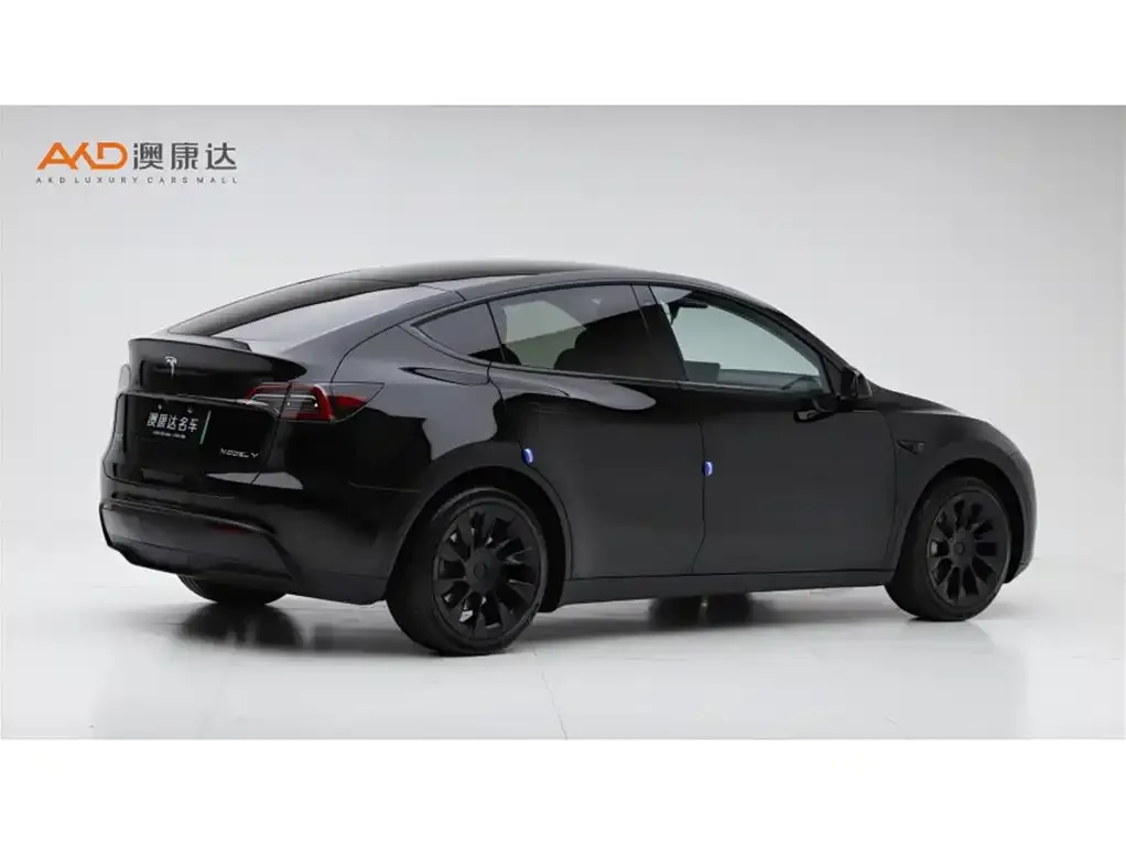 Tesla Model Y 2022 из CN, фото 3