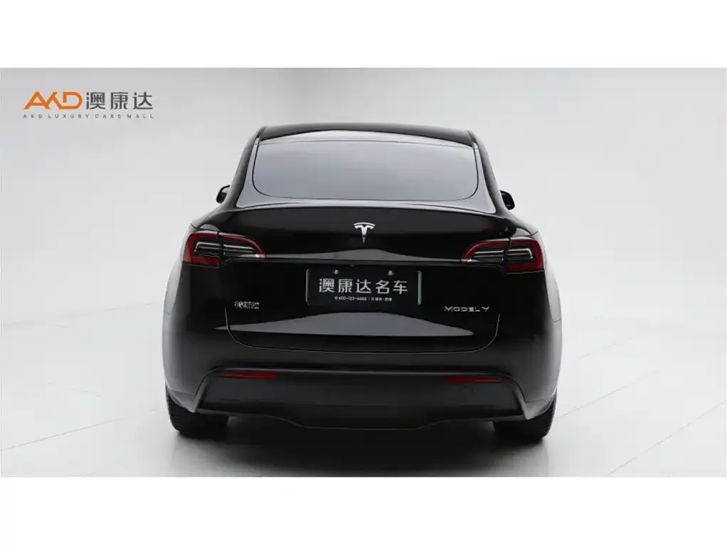 Tesla Model Y 2022 из CN, фото 4
