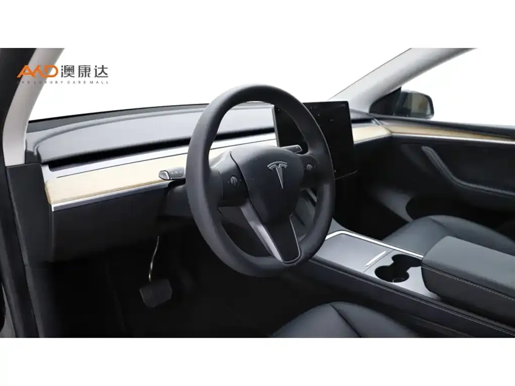 Tesla Model Y 2022 из CN, фото 6