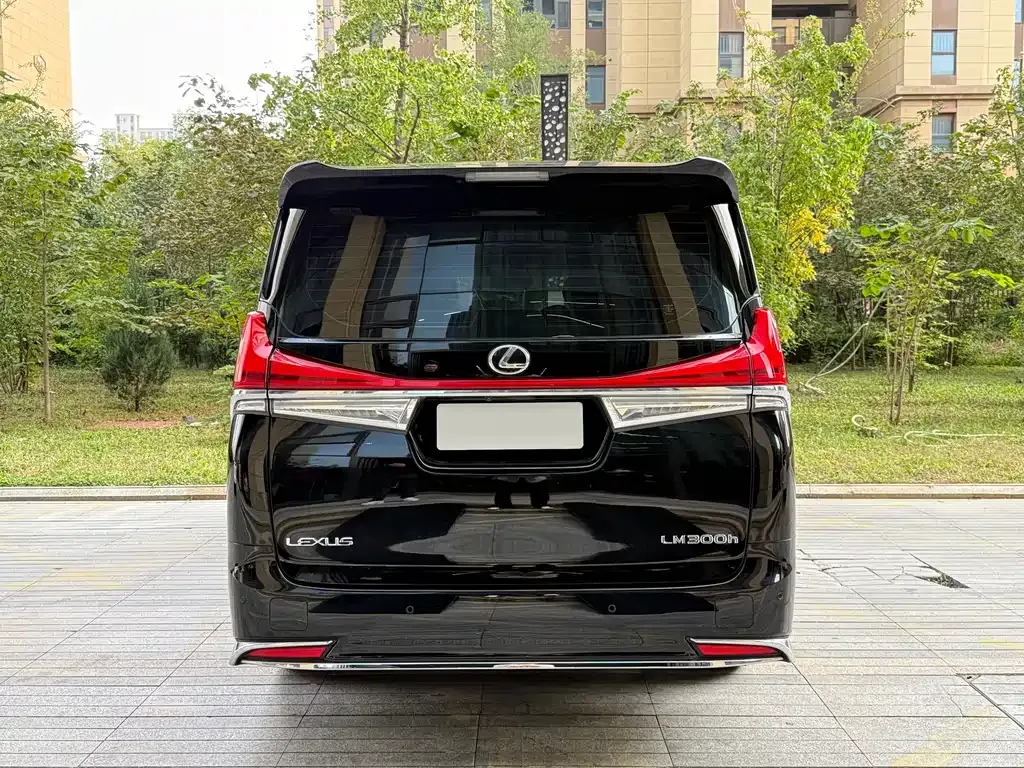Lexus LM 2024 из CN, фото 5