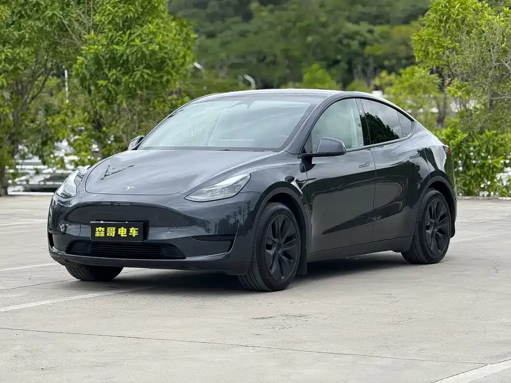 Tesla Model Y 2024 из CN, фото 1