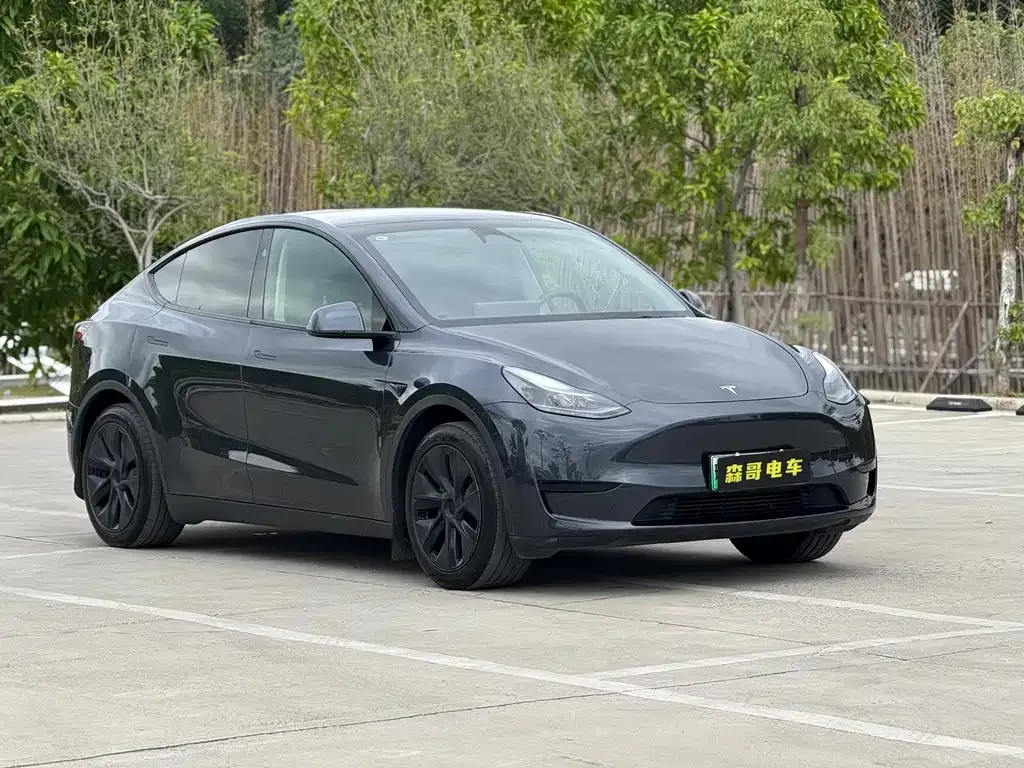 Tesla Model Y 2024 из CN, фото 2