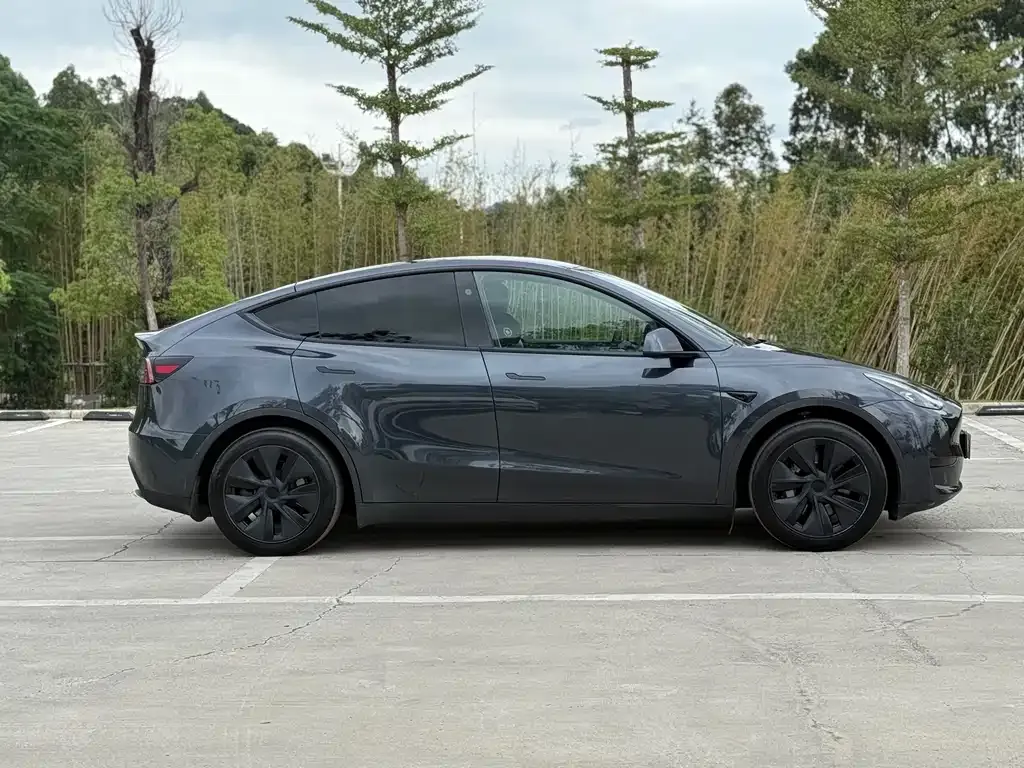 Tesla Model Y 2024 из CN, фото 3