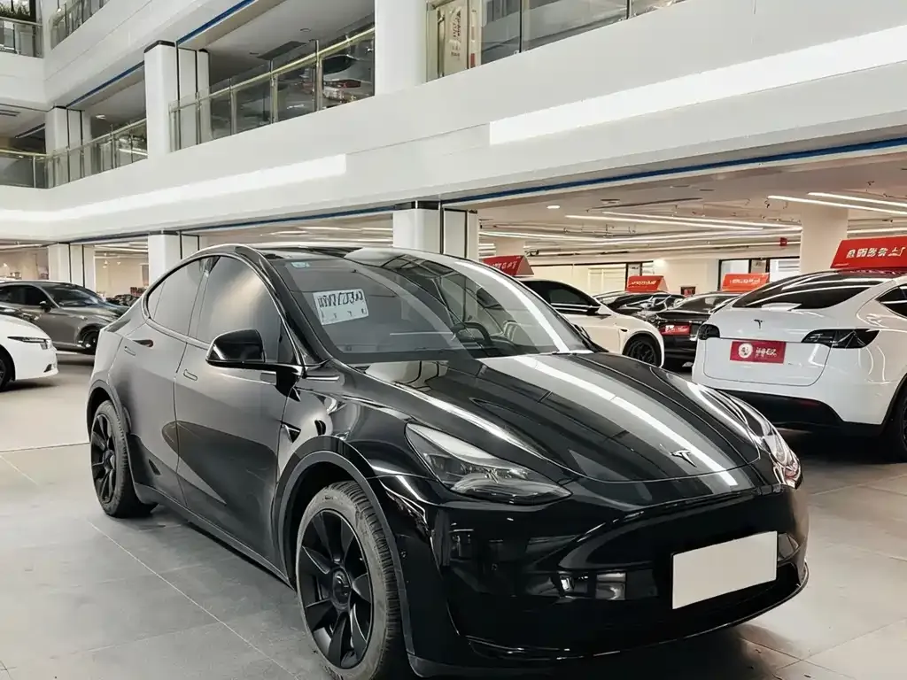 [object Object] Model Y 2023 из CN, фото 2