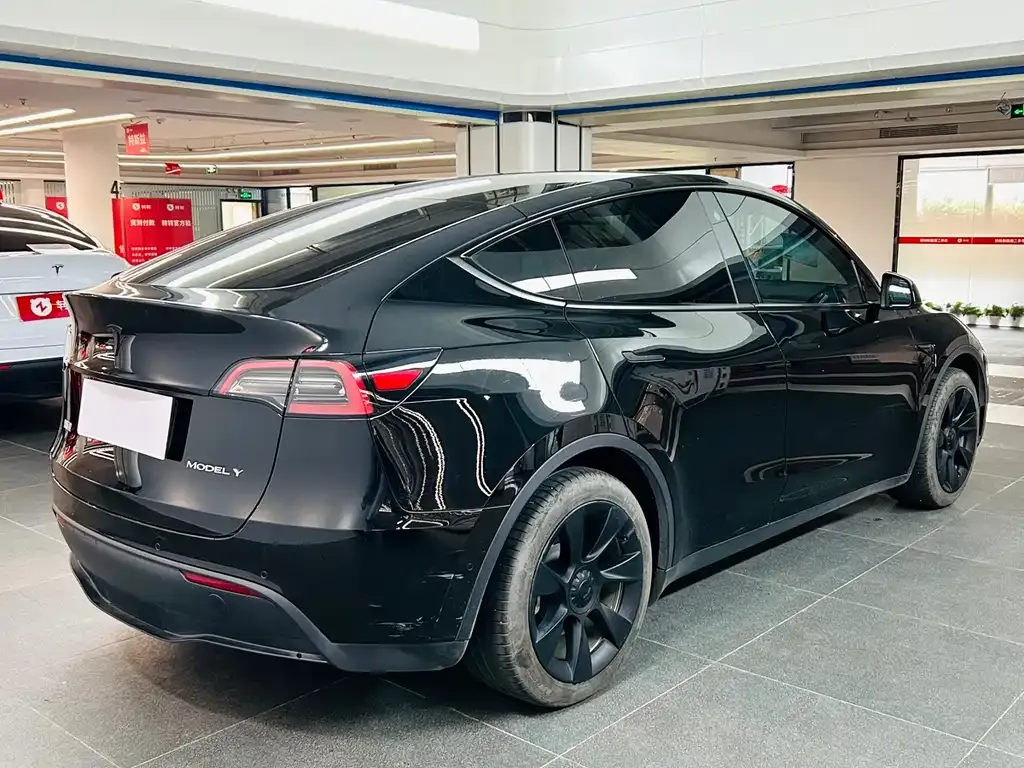 [object Object] Model Y 2023 из CN, фото 5