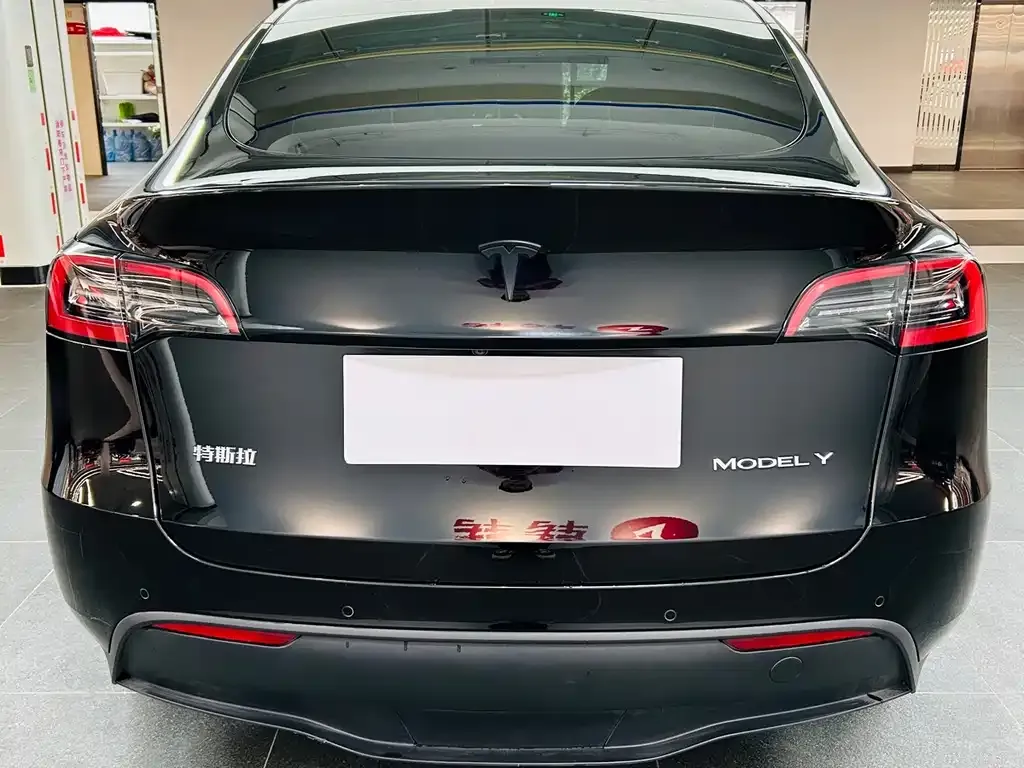 [object Object] Model Y 2023 из CN, фото 6