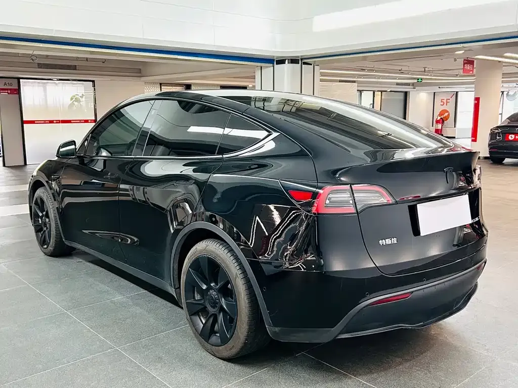 [object Object] Model Y 2023 из CN, фото 7