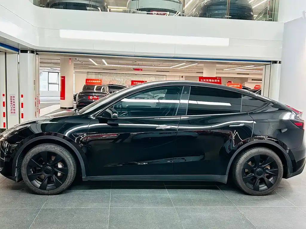 [object Object] Model Y 2023 из CN, фото 8