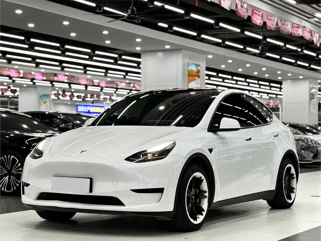 Tesla Model Y 2022 из CN, фото 1