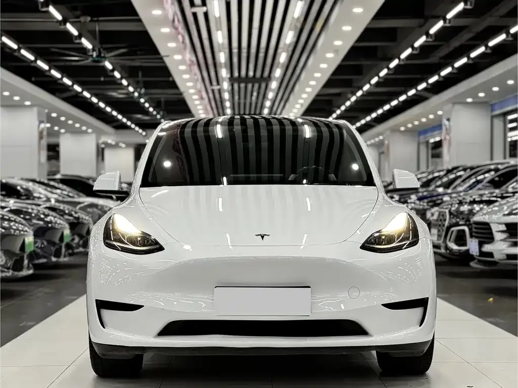 Tesla Model Y 2022 из CN, фото 2