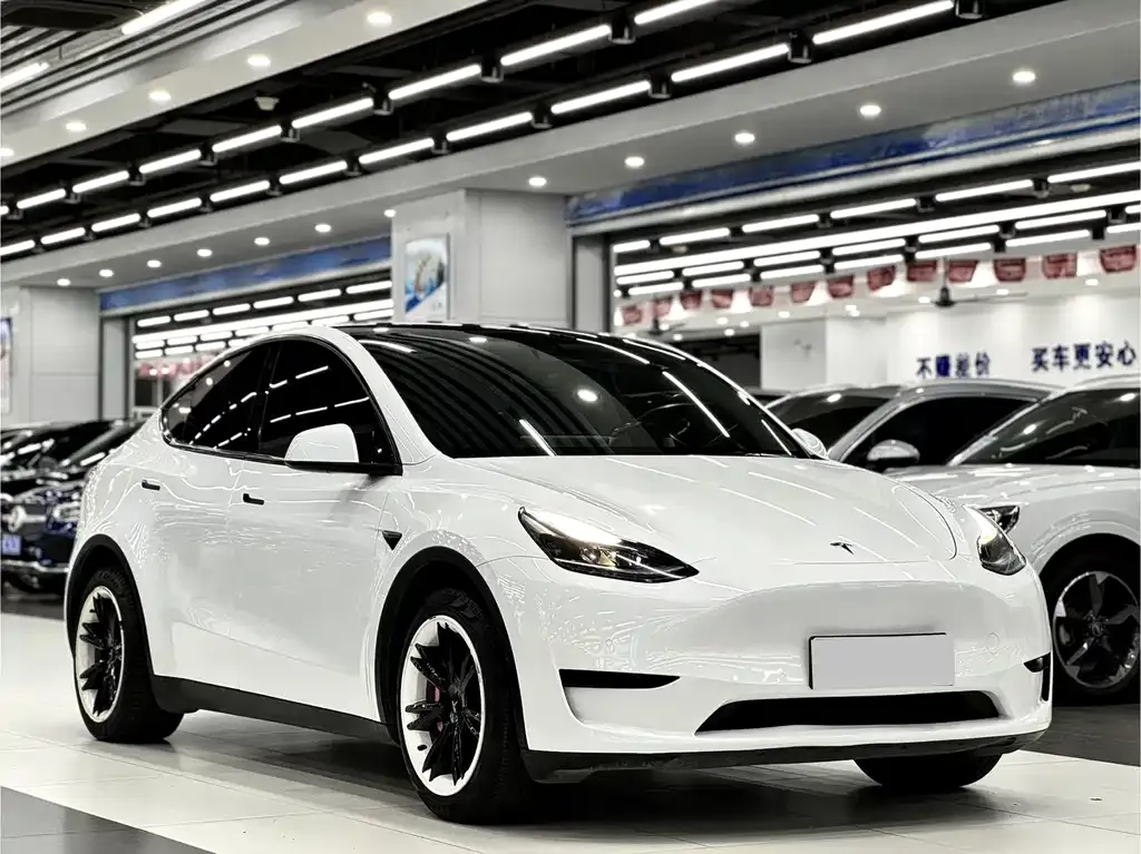 Tesla Model Y 2022 из CN, фото 3