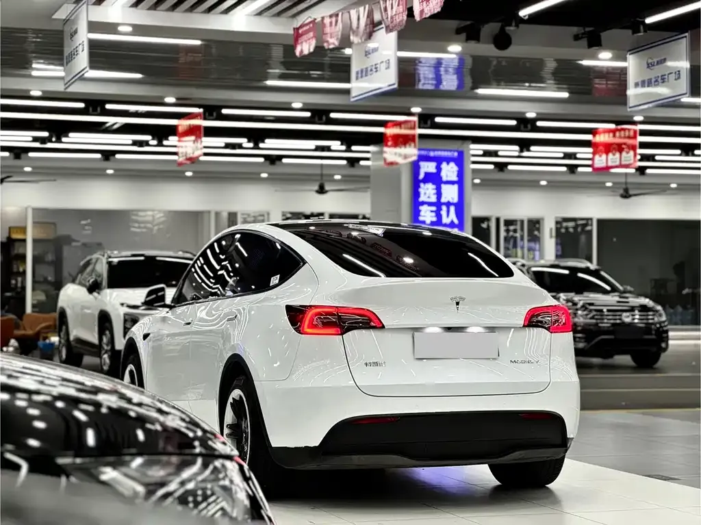 Tesla Model Y 2022 из CN, фото 4