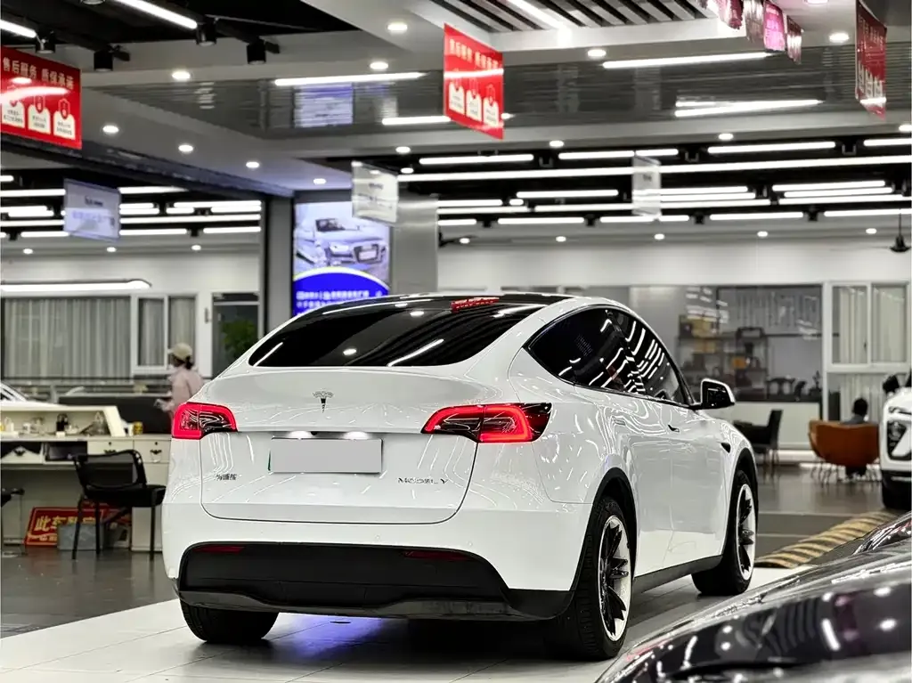 Tesla Model Y 2022 из CN, фото 6