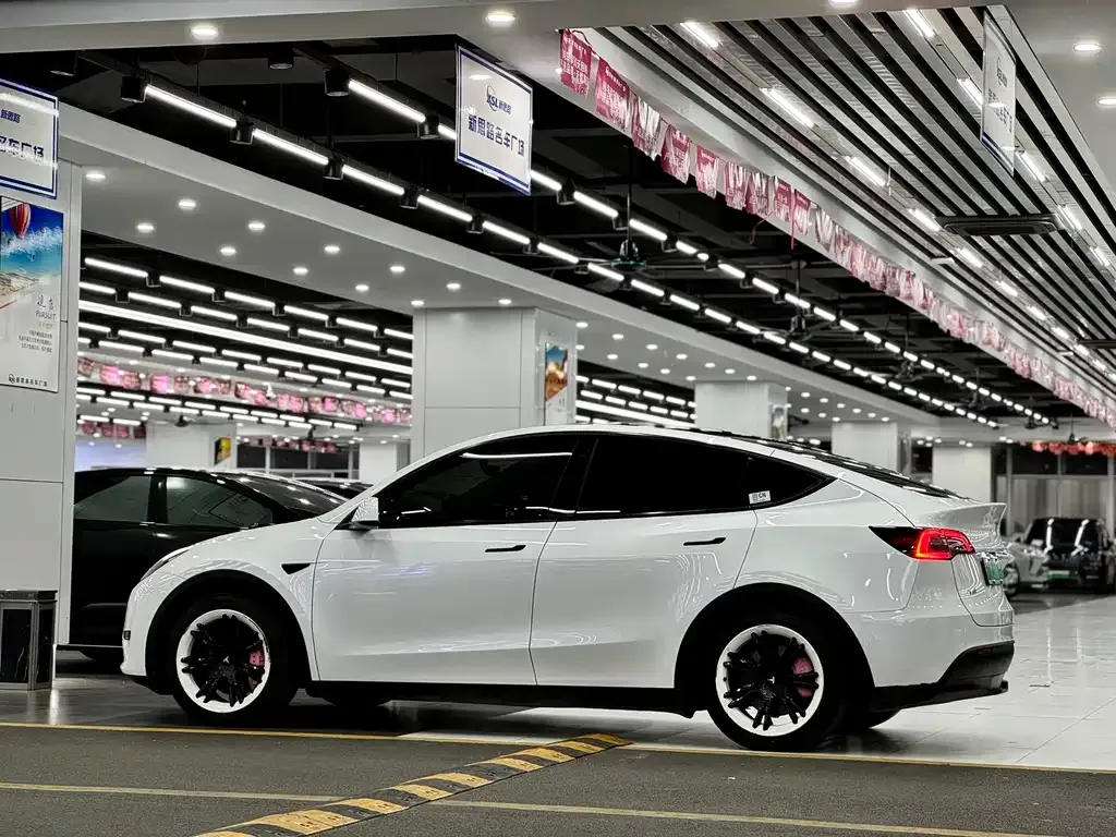 Tesla Model Y 2022 из CN, фото 7