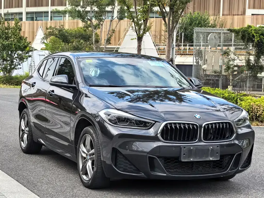 BMW X2 2021 из CN, фото 3