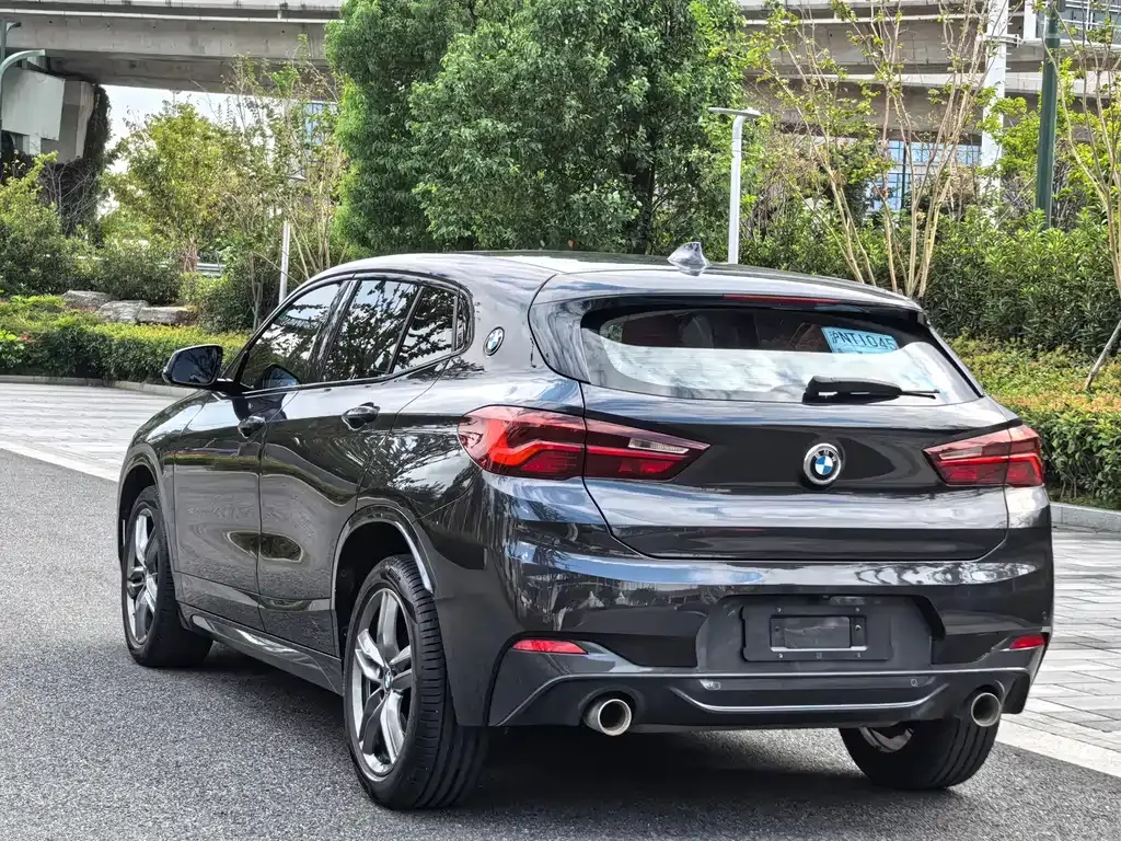 BMW X2 2021 из CN, фото 4