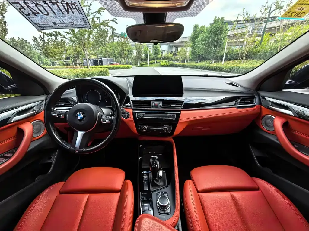 BMW X2 2021 из CN, фото 8