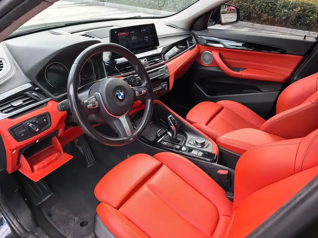 BMW X2 2021 из CN, фото 9