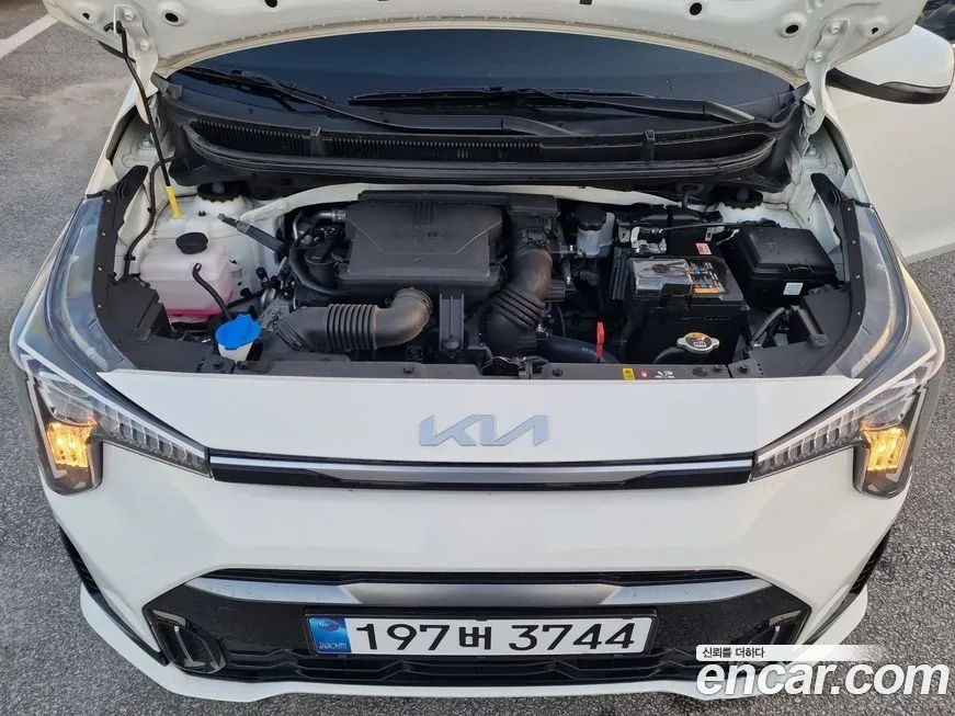 [object Object] morning 2025 из KR, фото 6