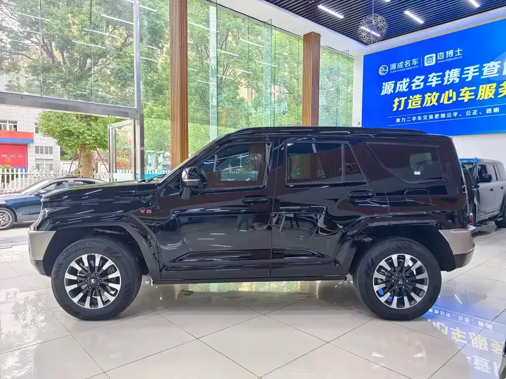 Tank 700 New Energy 2024 из CN, фото 5