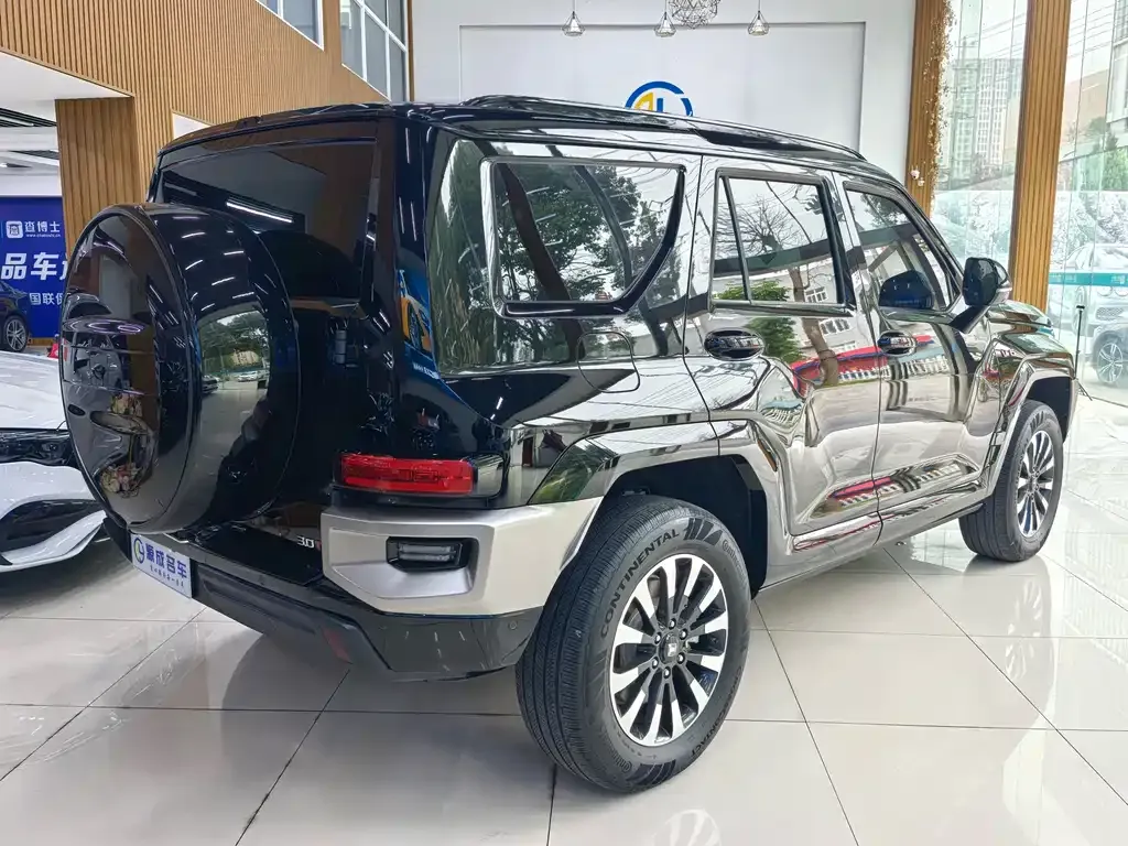 Tank 700 New Energy 2024 из CN, фото 6